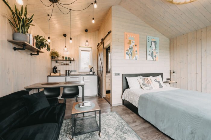 aistis vidus – kopija